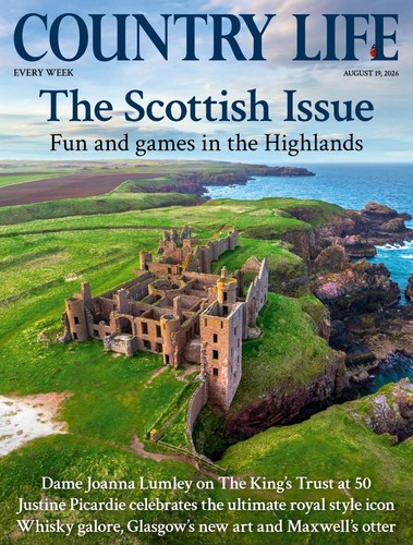 Country life magazine - magazine, 19