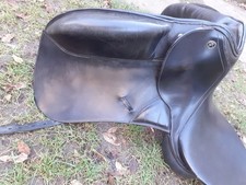 Kieffer Lusitano, 18zoll