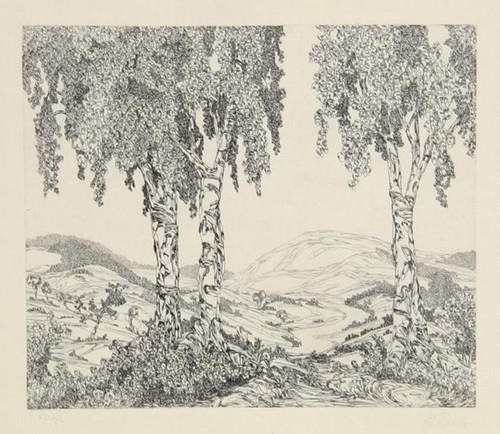 Hans georg rauch unbenannt - hans-georg,