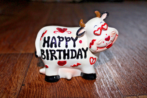 Money box cow happy - cow, birthday