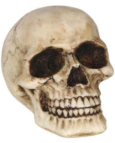 Kleiner totenkopf als - kleiner,