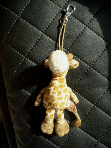 Nici giraffe bean - giraffe,
