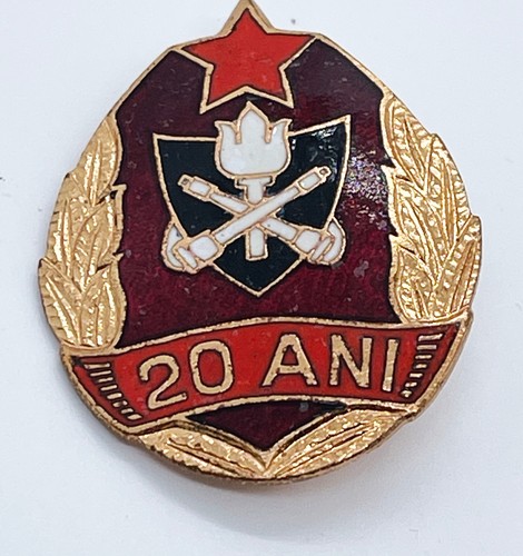 Anstecknadel ani gekreuzte - 20,