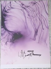 Wolfgang tillmans s only - wolfgang,