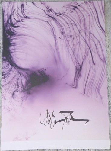 Wolfgang tillmans s only - wolfgang,