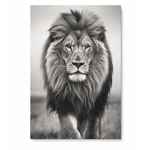 Löwe leinwandbild wall art - leinwandbild,