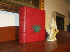 Chadourne ANAHUAC Luxury