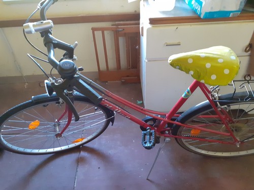 Damenfahrrad,5Gang,rot/schwarz