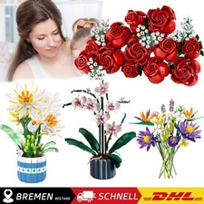 Blumen Bauspielzeugsets,Rose Epiphyllum Blumenstrauß Bausteine Set Geschenk DHL