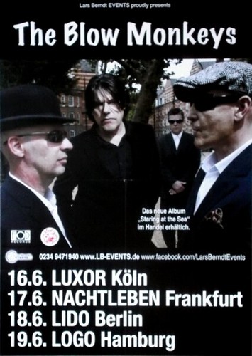 Blow monkeys 2011 plakat - -,