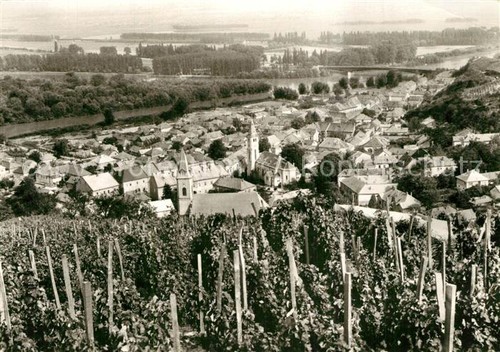 Tokaj panorama - tokaj,