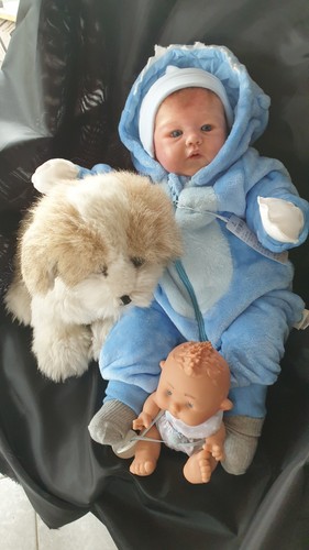 Reborn cuddelbaby doll james - reborn-cuddelbaby-doll,