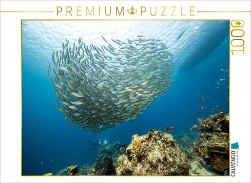 Calvendo puzzle fischball - calvendo, •