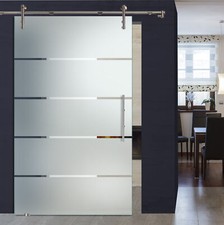 XXL Glasschiebetür, V1000