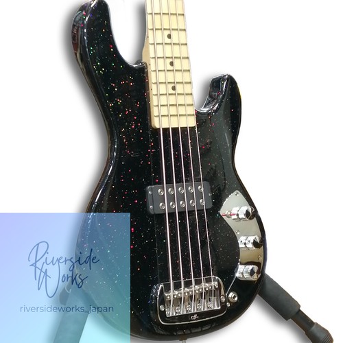 Bass 1000 series 750 - series,