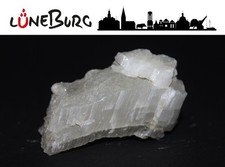 Gipskristall aus Lüneburg /