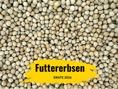 Gelbe futtererbsen 5kg 10kg - in,