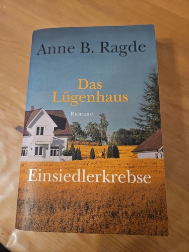 Buch das lügenhaus - buch,