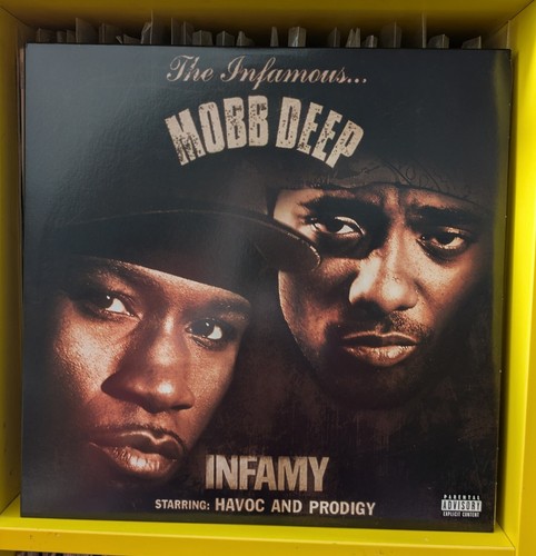 Mobb deep infamy - mobb, (lp)