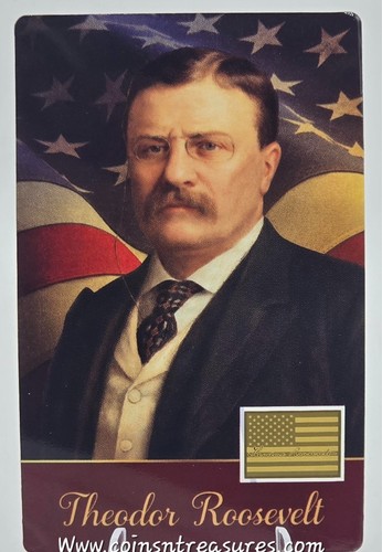 Presidents the usa theodor - of,