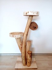 Katzenbaum Kratzbaum Baumstamm Natur Holz Robinie Unikat Handmade Balkon 1,10m