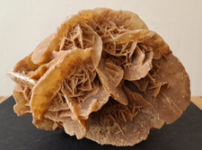 Große Wüstenrose Sandrose 1660 g