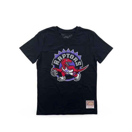 Toronto raptors nba - toronto,