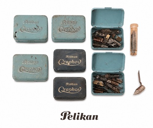 Pelikan graphos - pelikan,