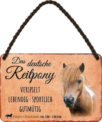 Steckbrief pferd das - -,