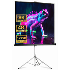 1:1 DELUXX Picture King Beamer Stativleinwand 244 x 244 cm (11903) 4K HDTV 133"