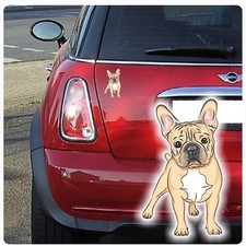 Autoaufkleber Französische Bulldogge Auto Aufkleber Hund Digitaldruck DA494 