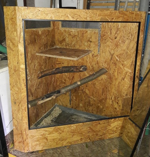Eck terrarium