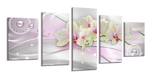 Bild tlg orchidee - bild, 5