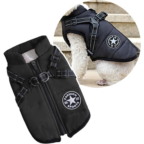 Hundemantel mit geschirr - mit,