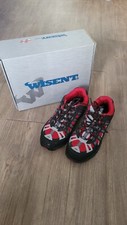 Wisent Power Safe
