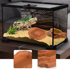 Terrarium schüssel - terrarium,