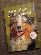 Australian shepherd - australian,