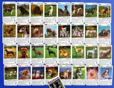 Quartett-Spiel Rassehunde 1995