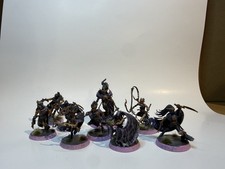 Warcry Warband Painted /