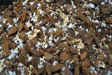 100 Liter Orchideensubstrat