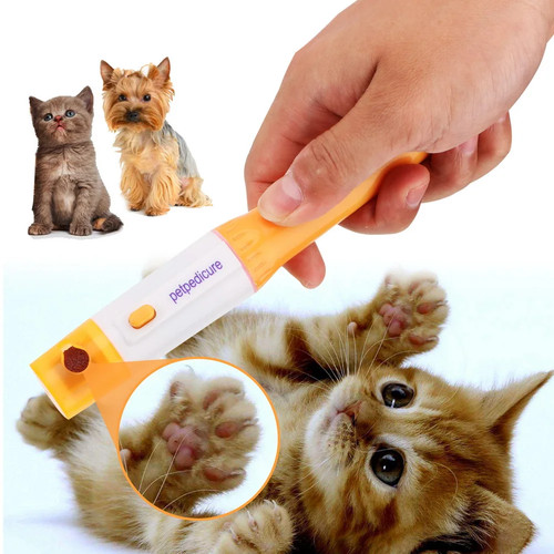 Haustier nagelknipser katze - haustier,