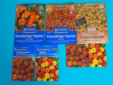 Saatgut studentenblumensamen - saatgut,