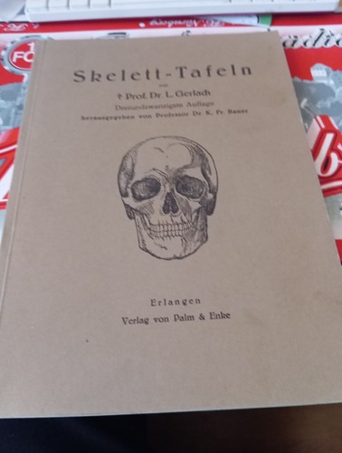 Skelett tafeln von prof - -tafeln,