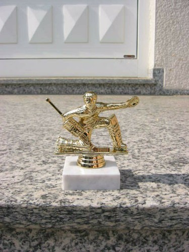 Pp1464 eishockey torwart - eishockey,