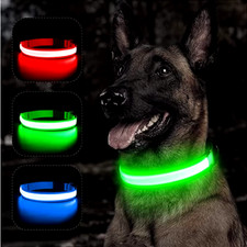 LED Hundehalsband USB