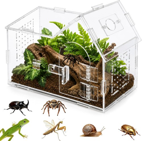 Reptilien terrarium 20x10x15cm - reptilien,