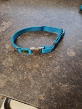 Hunter Halsband petrol Breite 2 cm