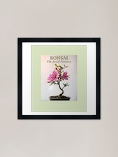 Bonsai die kunst der geduld - kunst,