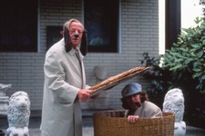 Filmdia 00 Schneider - Jagd