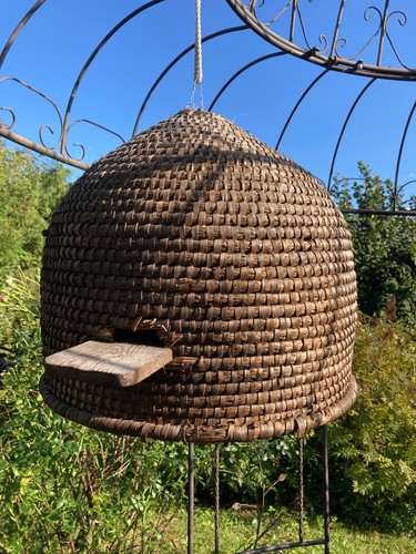 Großer alter bienenkorb - alter,